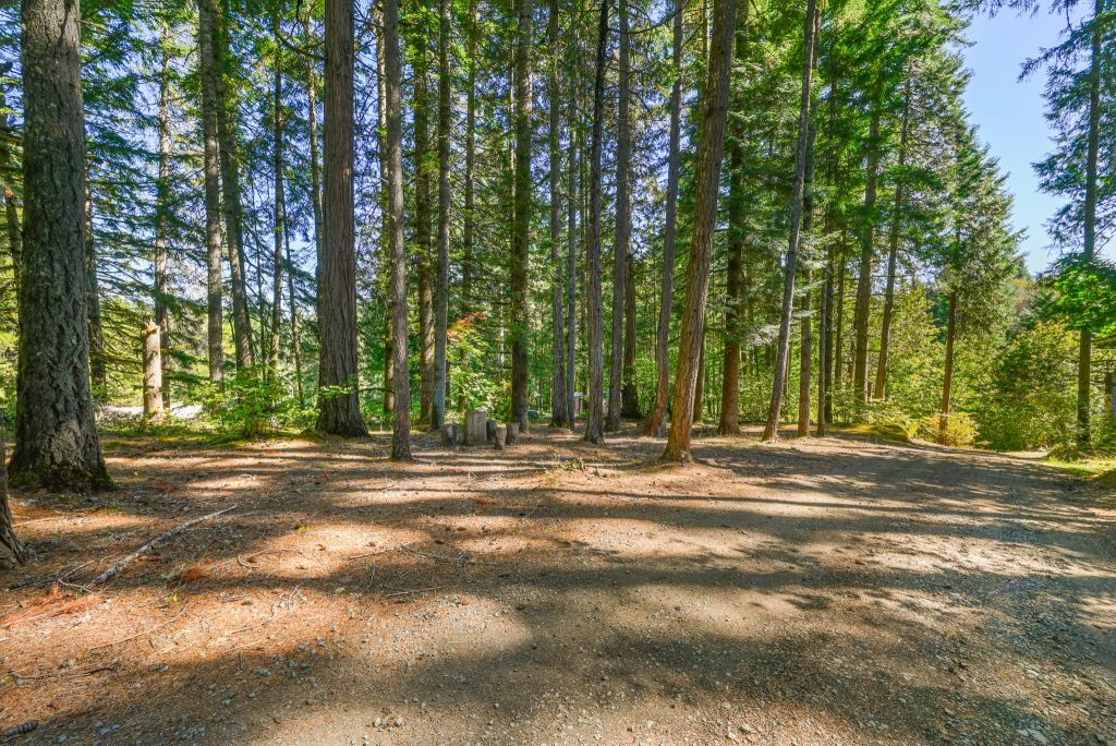 124-web-or-mls-_DSC1448 Tent Sites