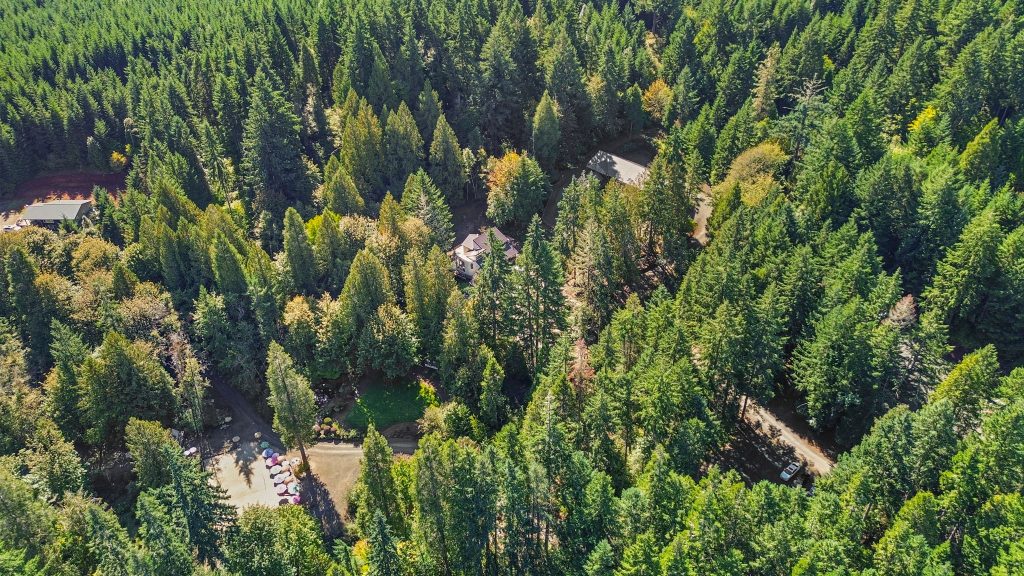 126-web-or-mls-DJI_0213 (1) Aerial of Property