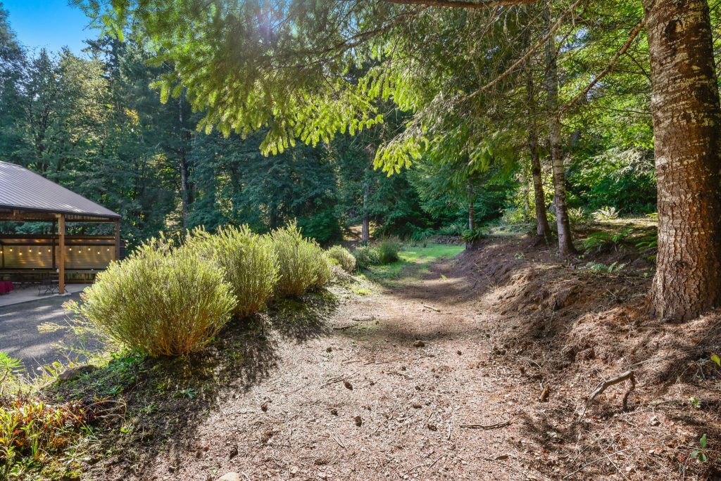 34-web-or-mls-_DSC0804 Pathway