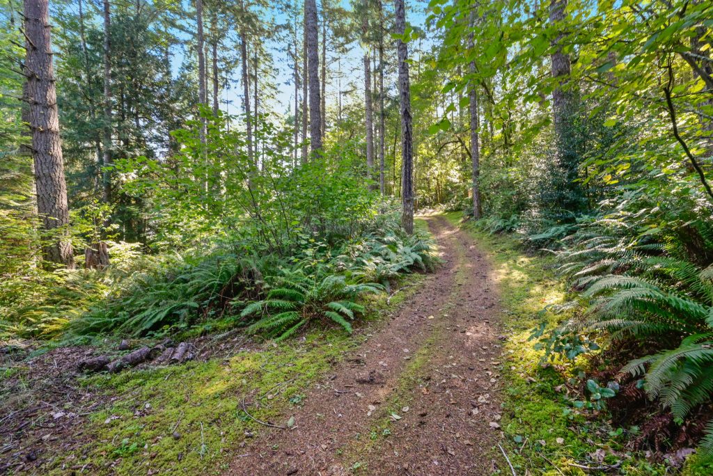 37-web-or-mls-_DSC0816 Pathway