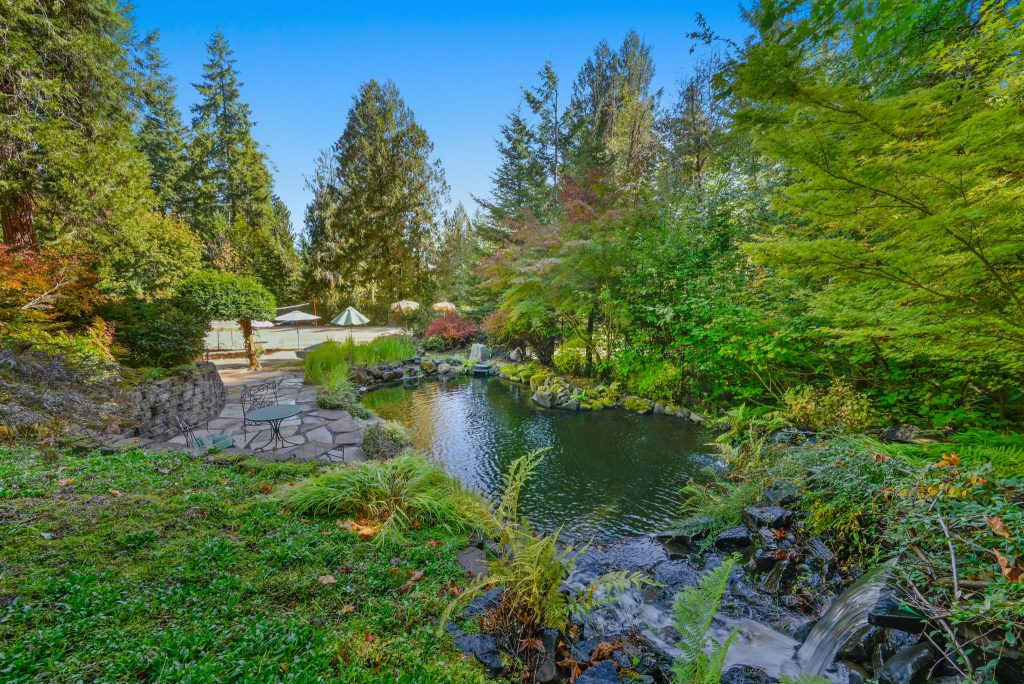 49-web-or-mls-_DSC1017-Edit Pond